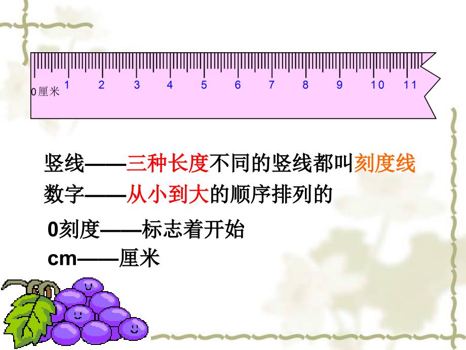 测一测--量一量知识讲解_第4页