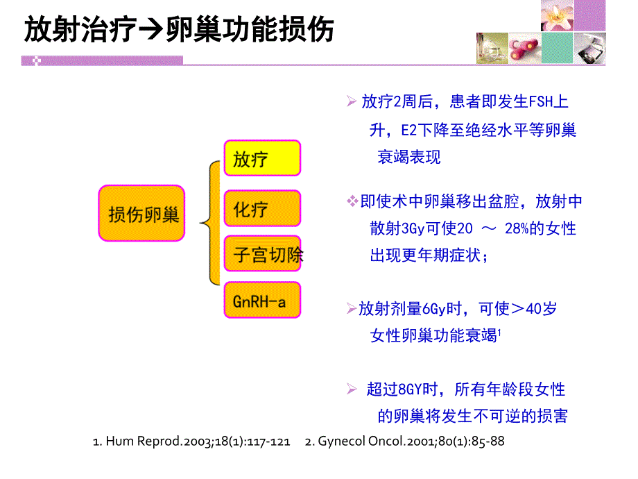 人工绝经症状管理新思考ppt课件_第4页