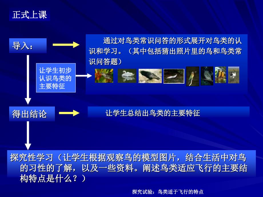 八年级生物鸟类适合飞行的特点2麻麻说课讲解_第4页