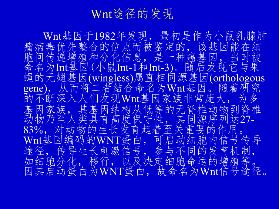 WNT信号通路_第3页