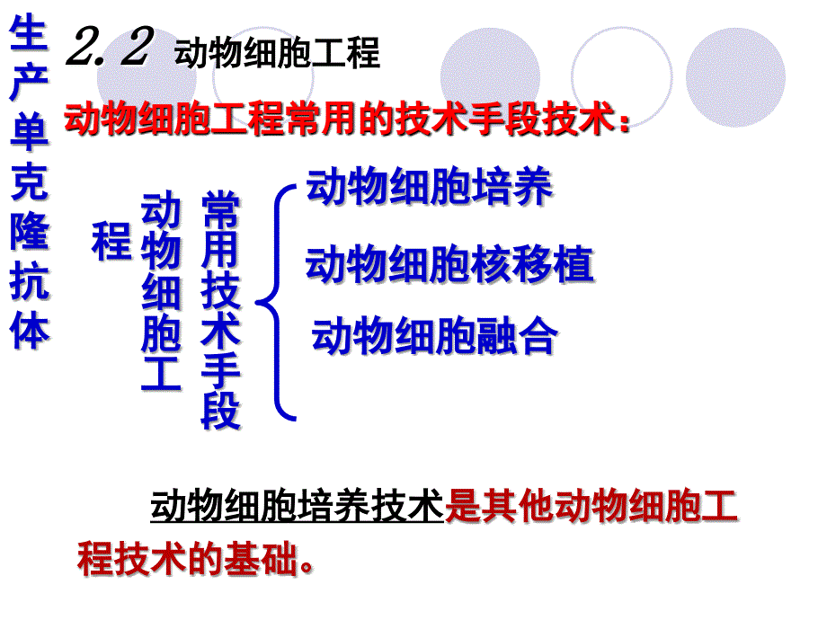 动物细胞工程课件ppt课件_第2页