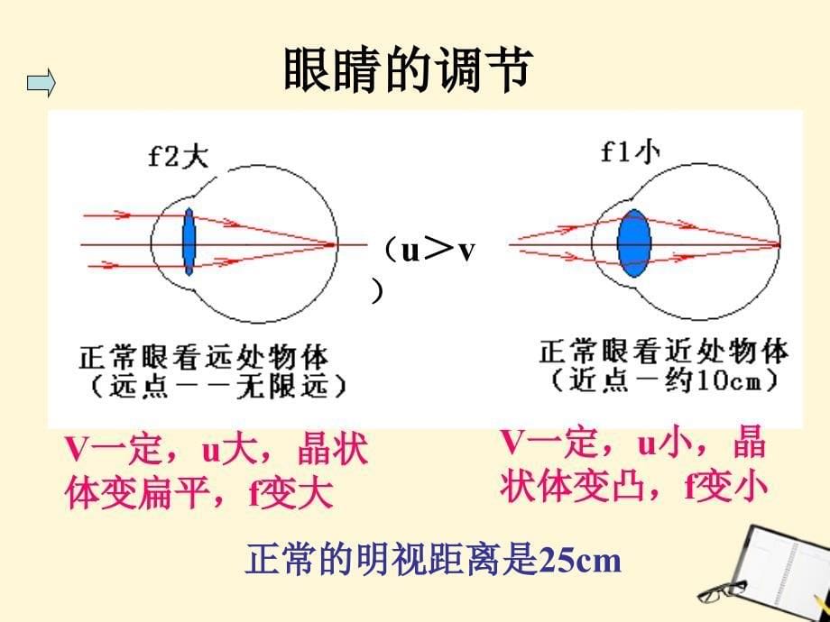 八级物理下册 6.4眼睛和眼镜 北师大.ppt_第5页