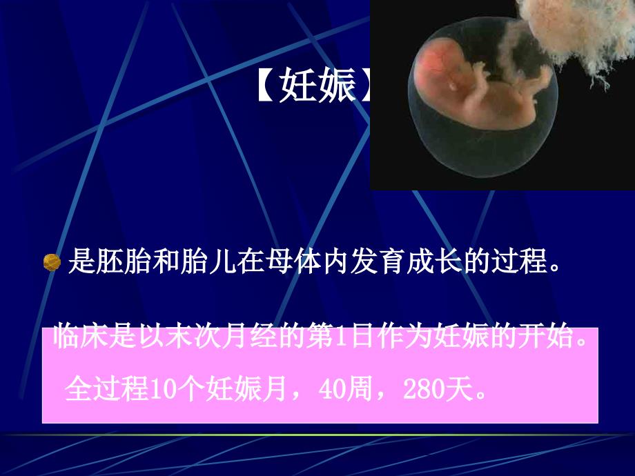 妊娠滋养细胞疾病病人的护理ppt课件_第4页