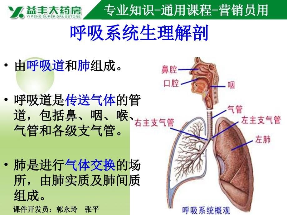 上呼吸道感染的诊断与防治PPT课件_第5页