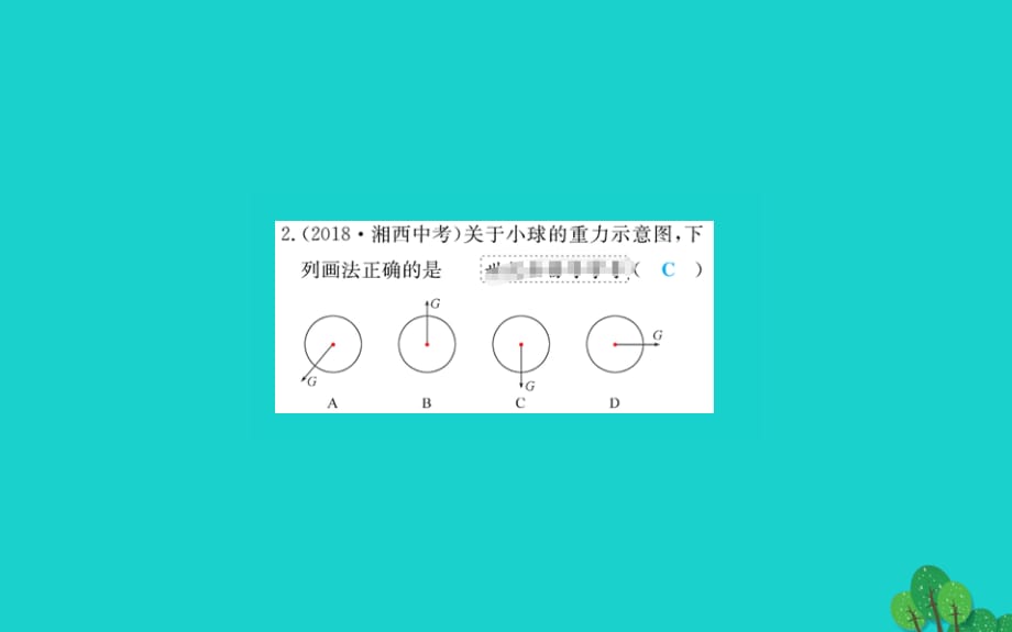 八级物理下册7.3重力习题新 1.ppt_第4页