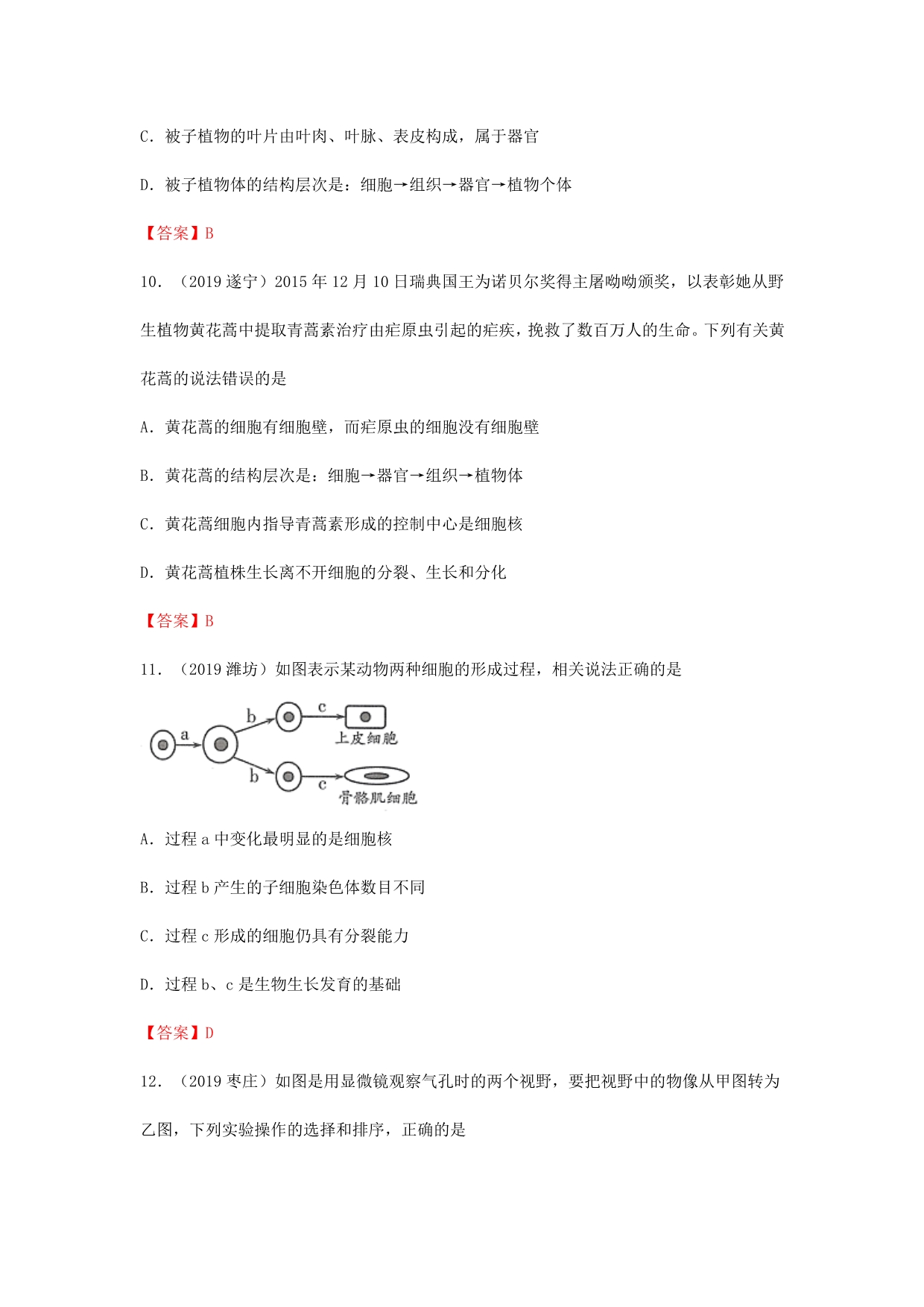 2019年中考生物试题分类汇编：生物体的结构层次专题_第4页