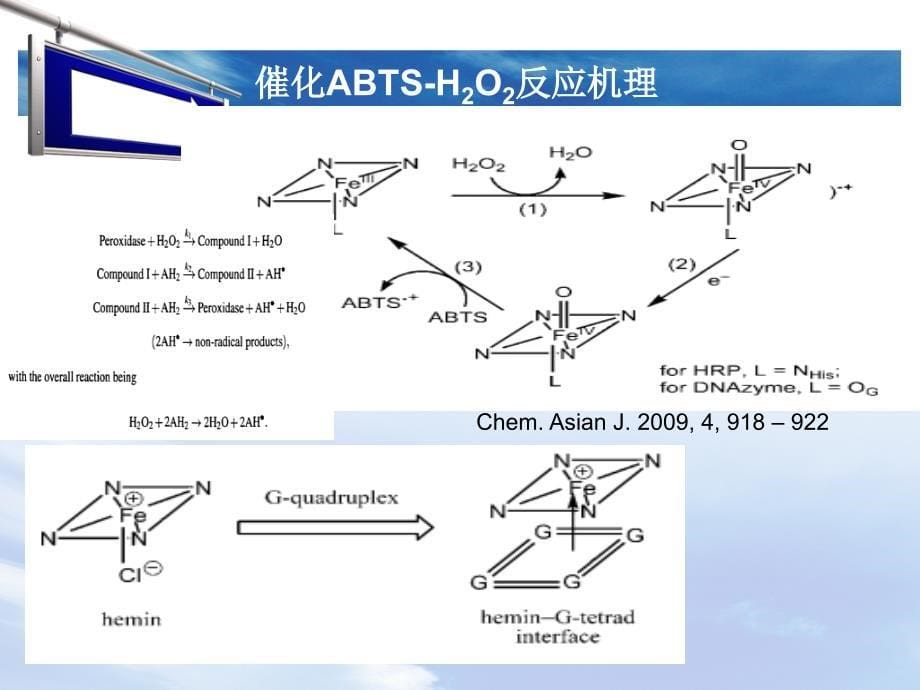 DNAzyme及其应用_第5页