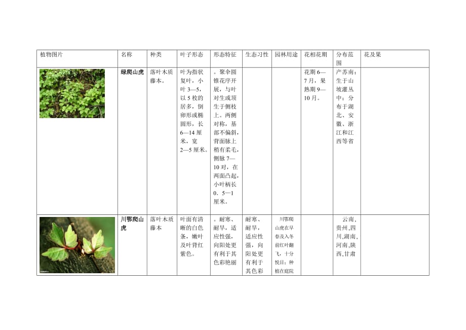 植物分类介绍——藤本植物_第1页