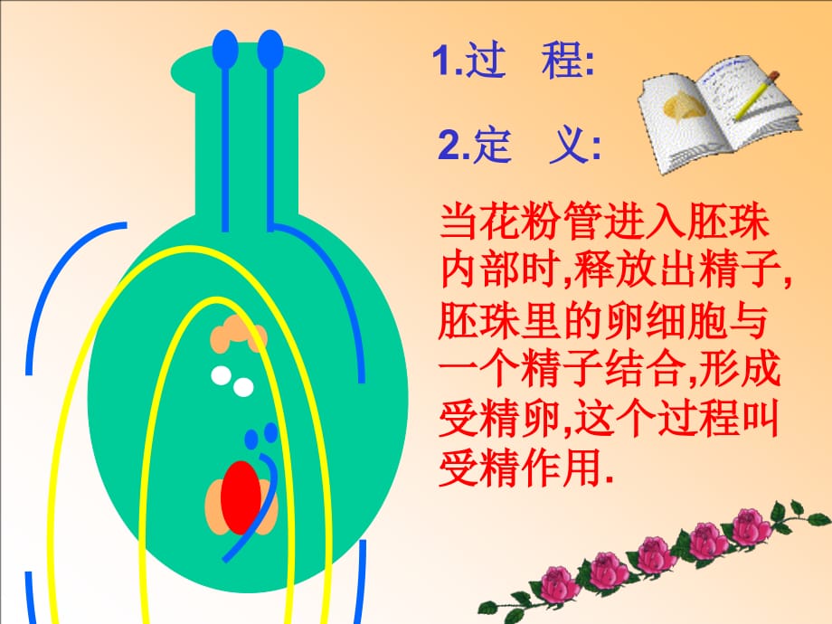 植物的受精作用PPT_第5页