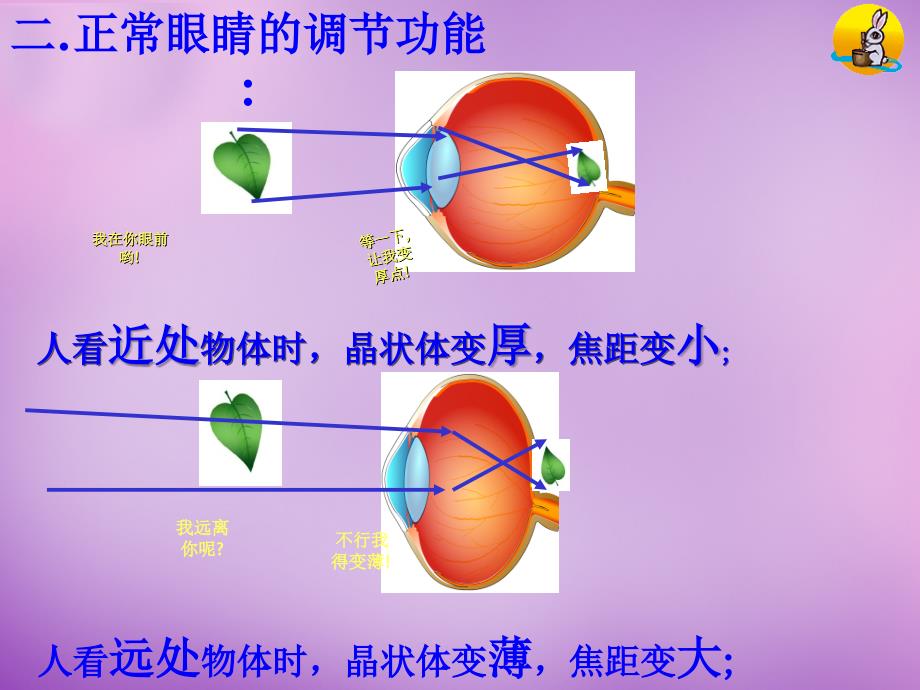 八级物理上册第五章第四节眼睛和眼镜新.ppt_第4页