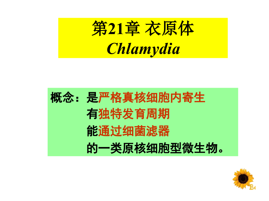 医学微生物学衣原体 螺旋体ppt课件_第1页