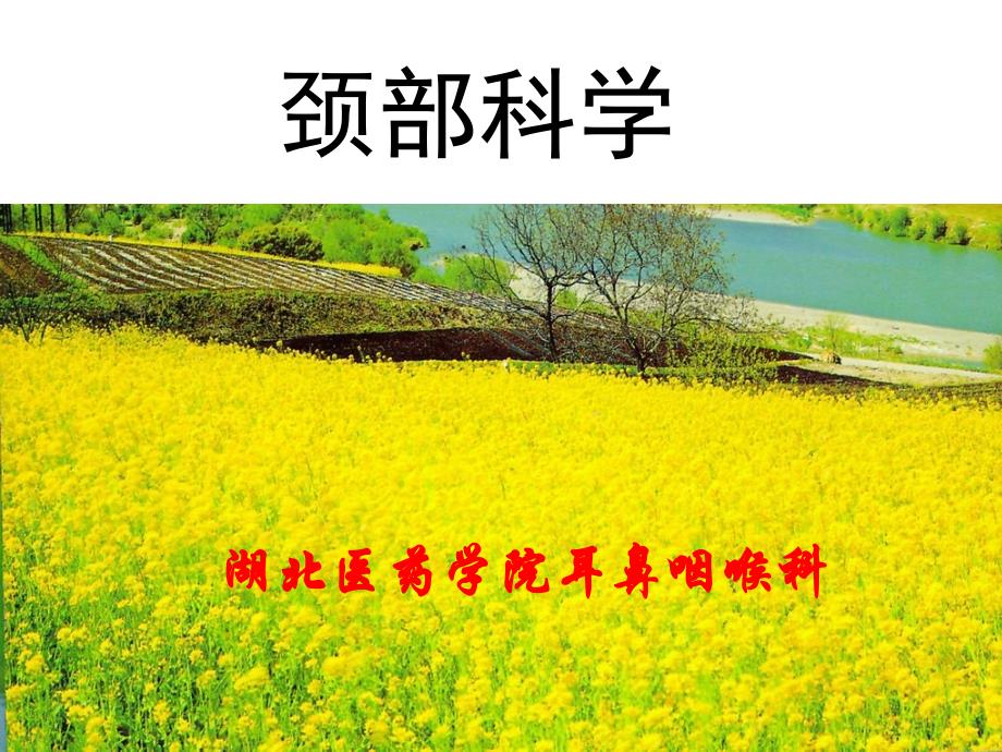 耳鼻咽喉科学-颈部科学_第1页