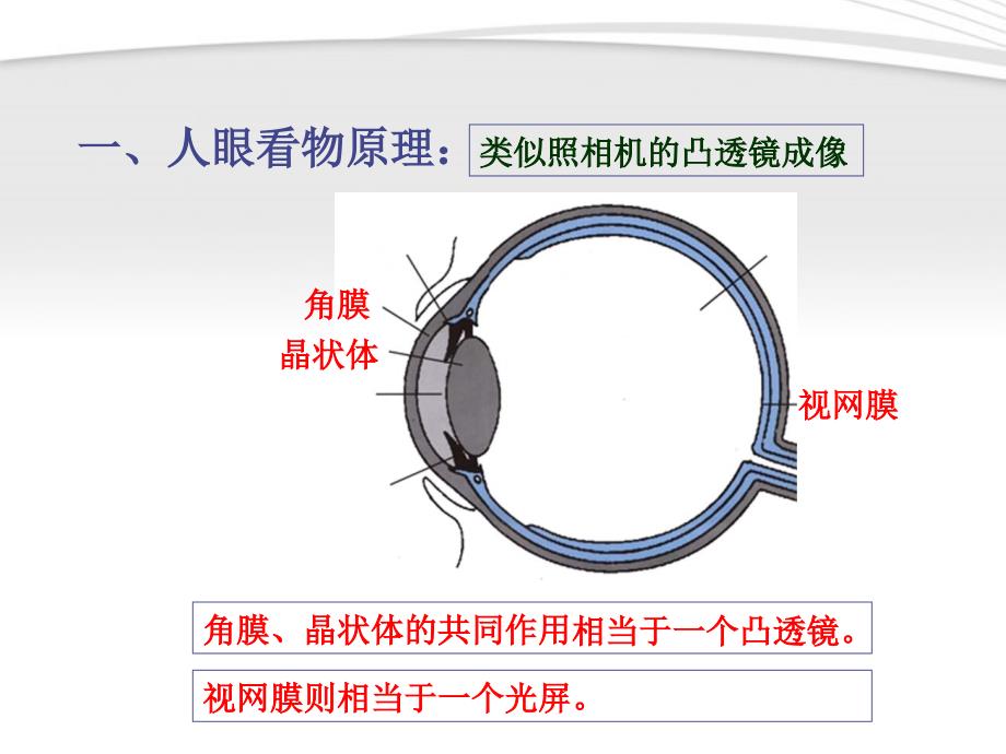 八级物理上册 3.4眼睛和眼镜 .ppt_第2页