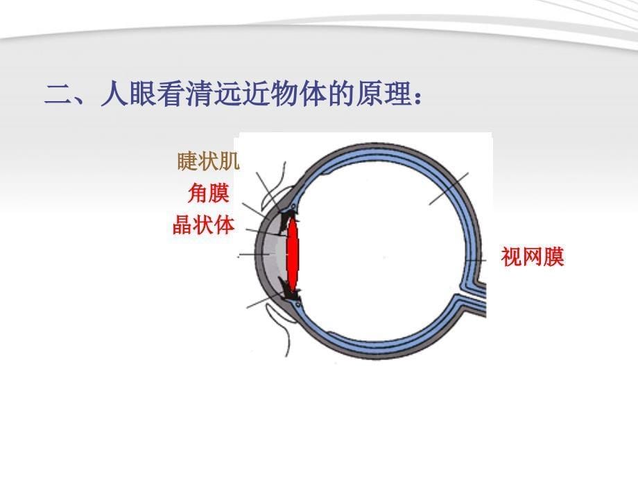 八级物理上册 3.4眼睛和眼镜 .ppt_第5页