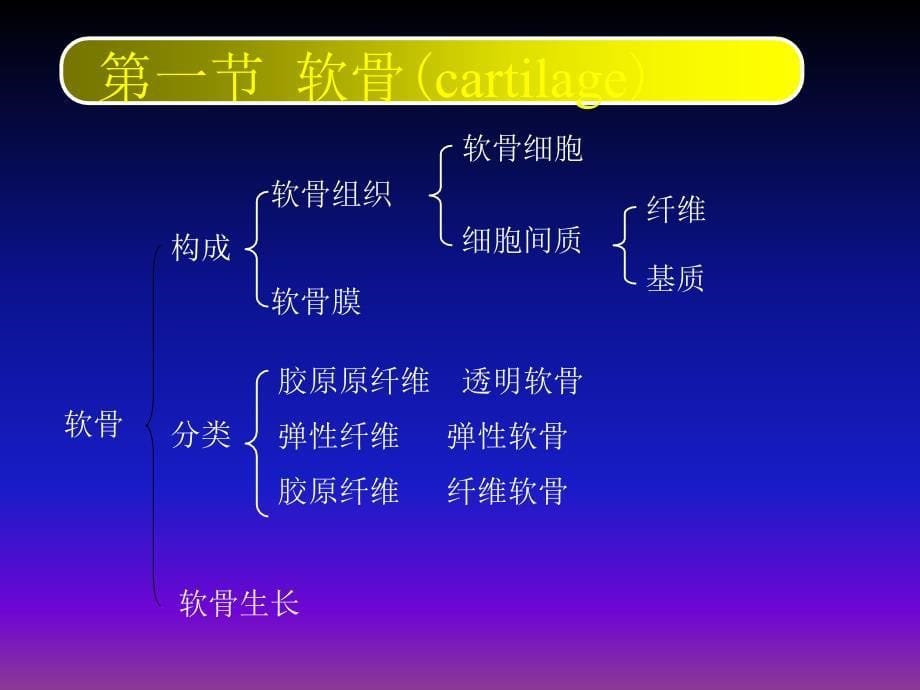 骨与软骨ppt课件_第5页