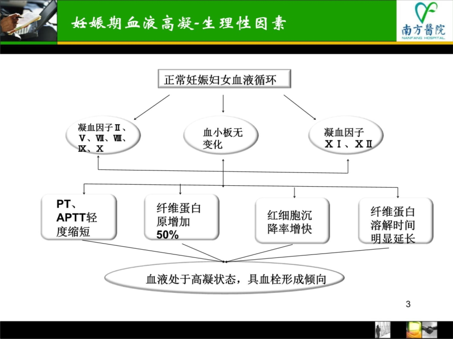 低分子肝素在产科的应用--讲课资料_第3页