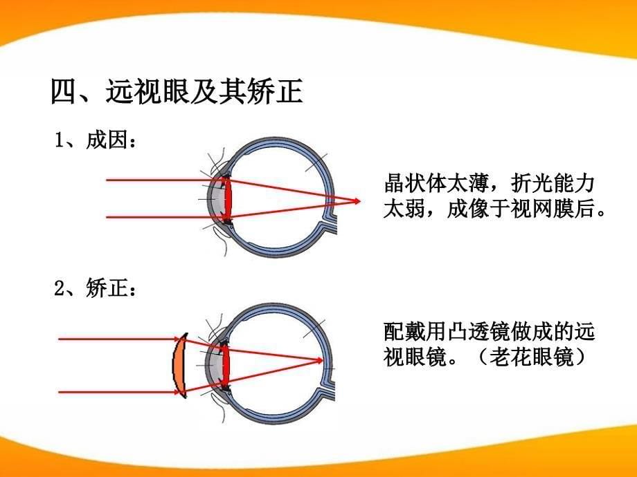 八级物理上册 光学 眼睛与光学仪器 沪科.ppt_第5页