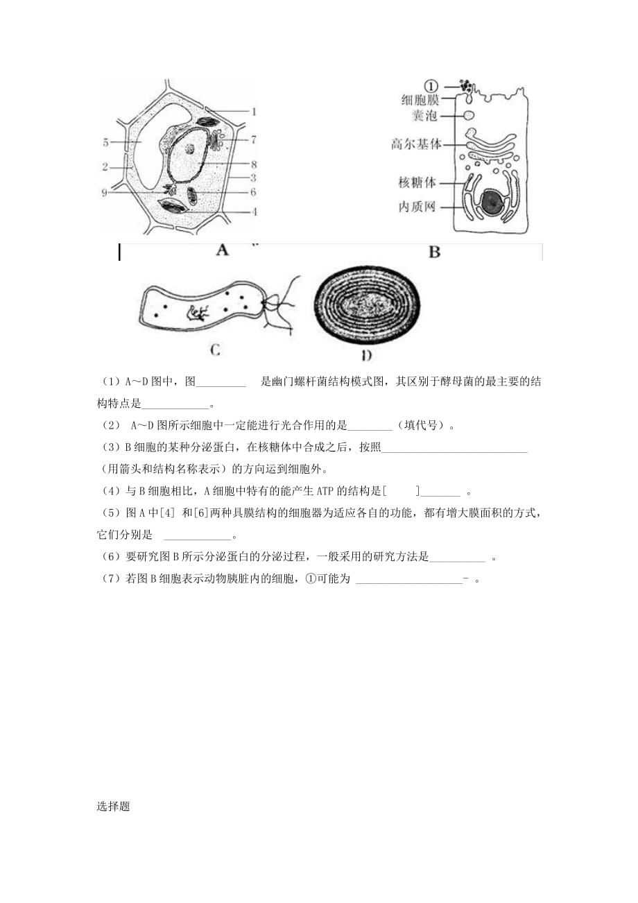 2017沪科版高中生命科学第一册3.2《细胞核和细胞器》word练习题 .doc_第4页