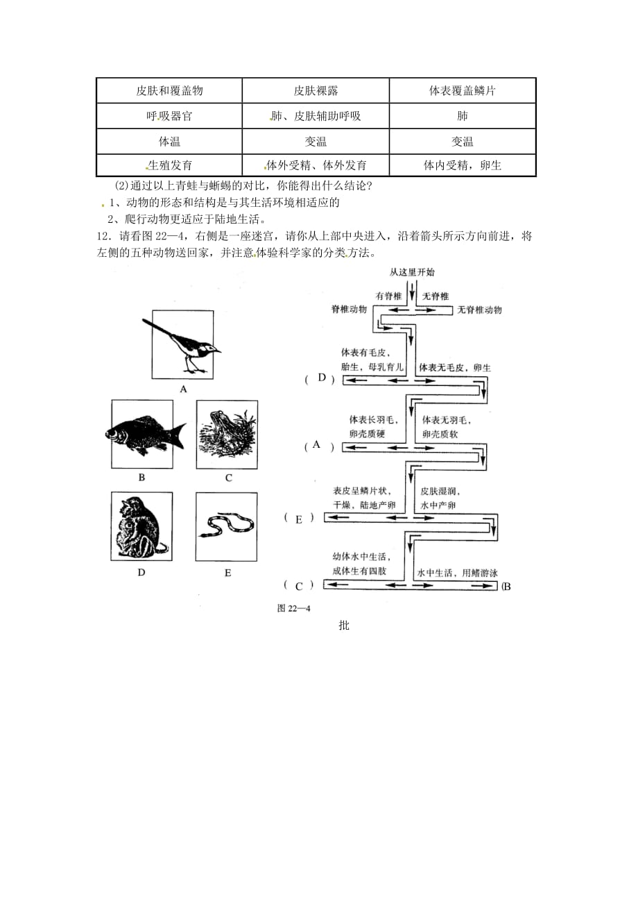 2016春北师大版生物八下22.4《动物的主要类群》word随堂练习1 .doc_第2页