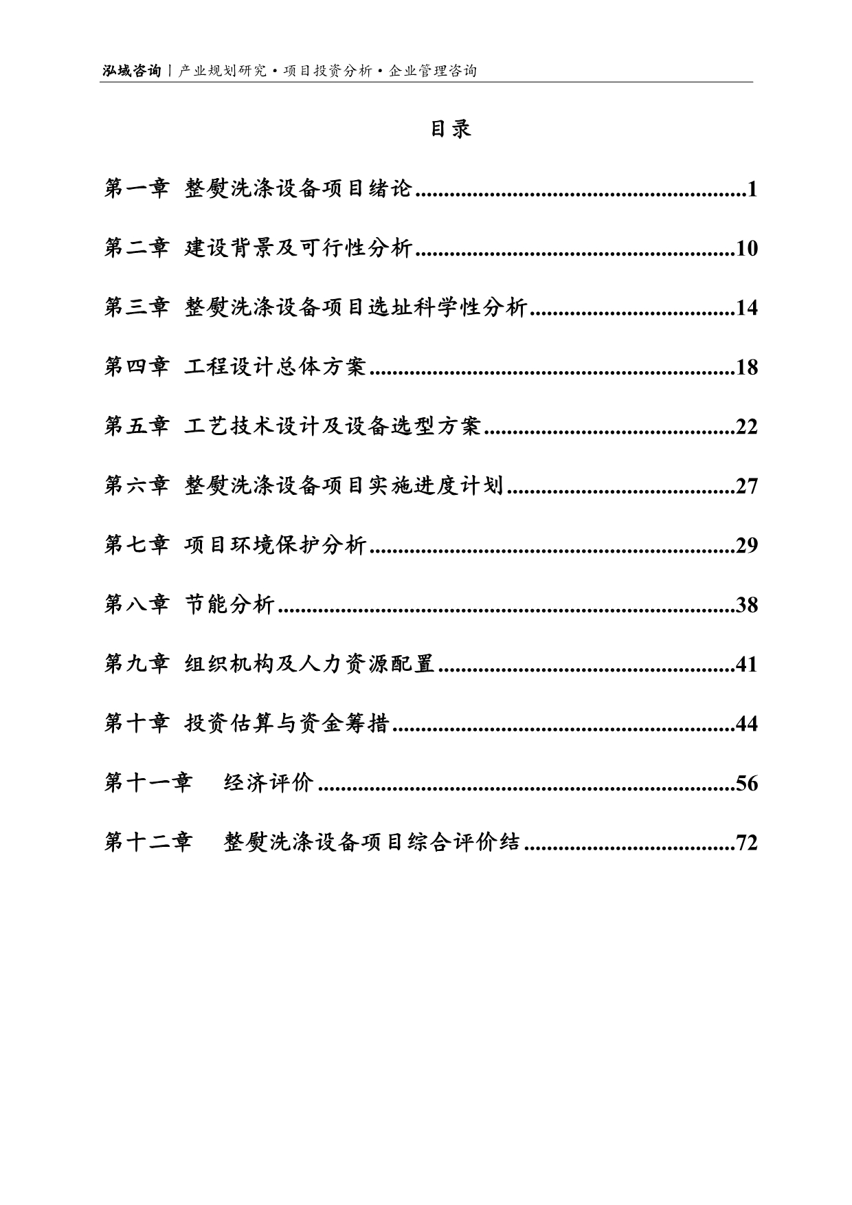 整熨洗涤设备项目可行性研究报告.doc_第2页