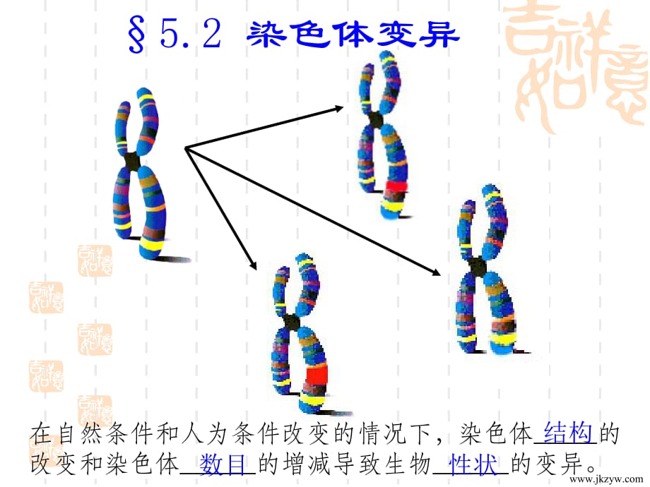 高中生物必修2 染色体变异课件.ppt_第1页