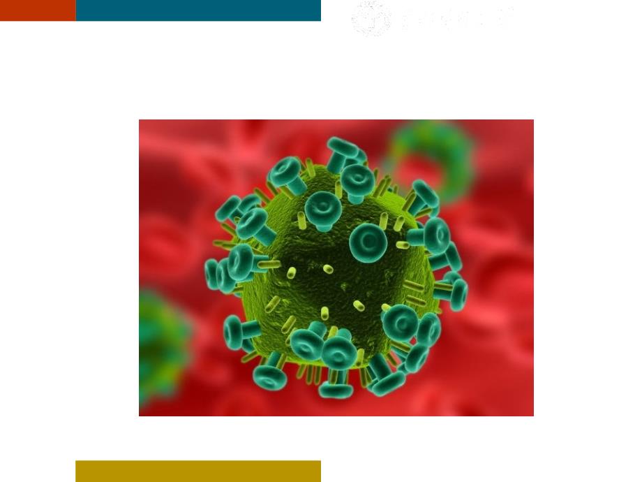 艾滋病及性病医学课件_第4页