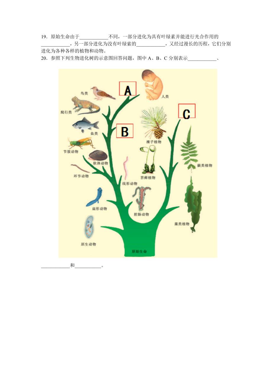 中考指南苏科版生物中考复习八年级下册 知识梳理填空版.doc_第4页