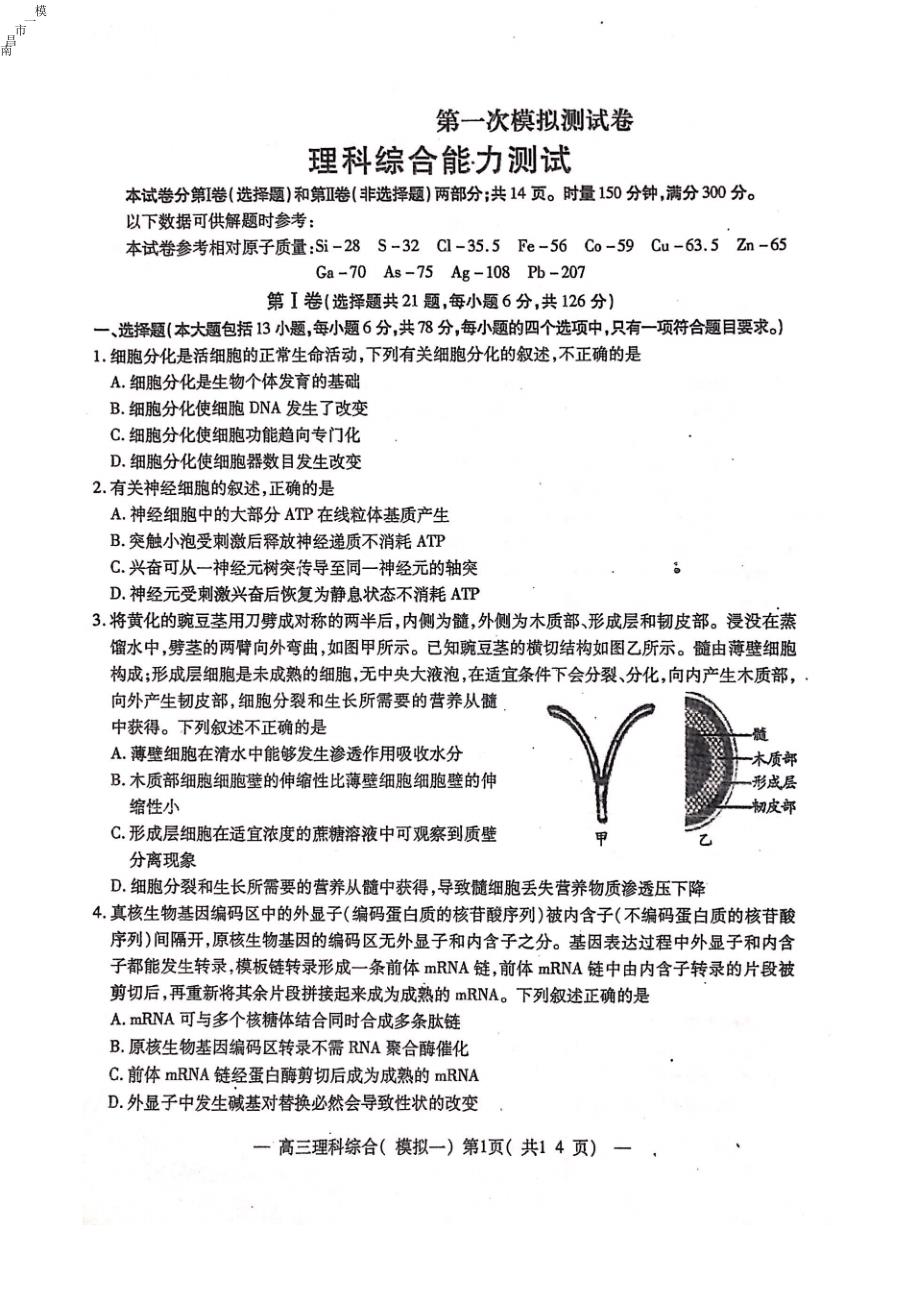 2020年4月8日江西省高2020届高2017级高三南昌市一模理综试题.pdf_第1页