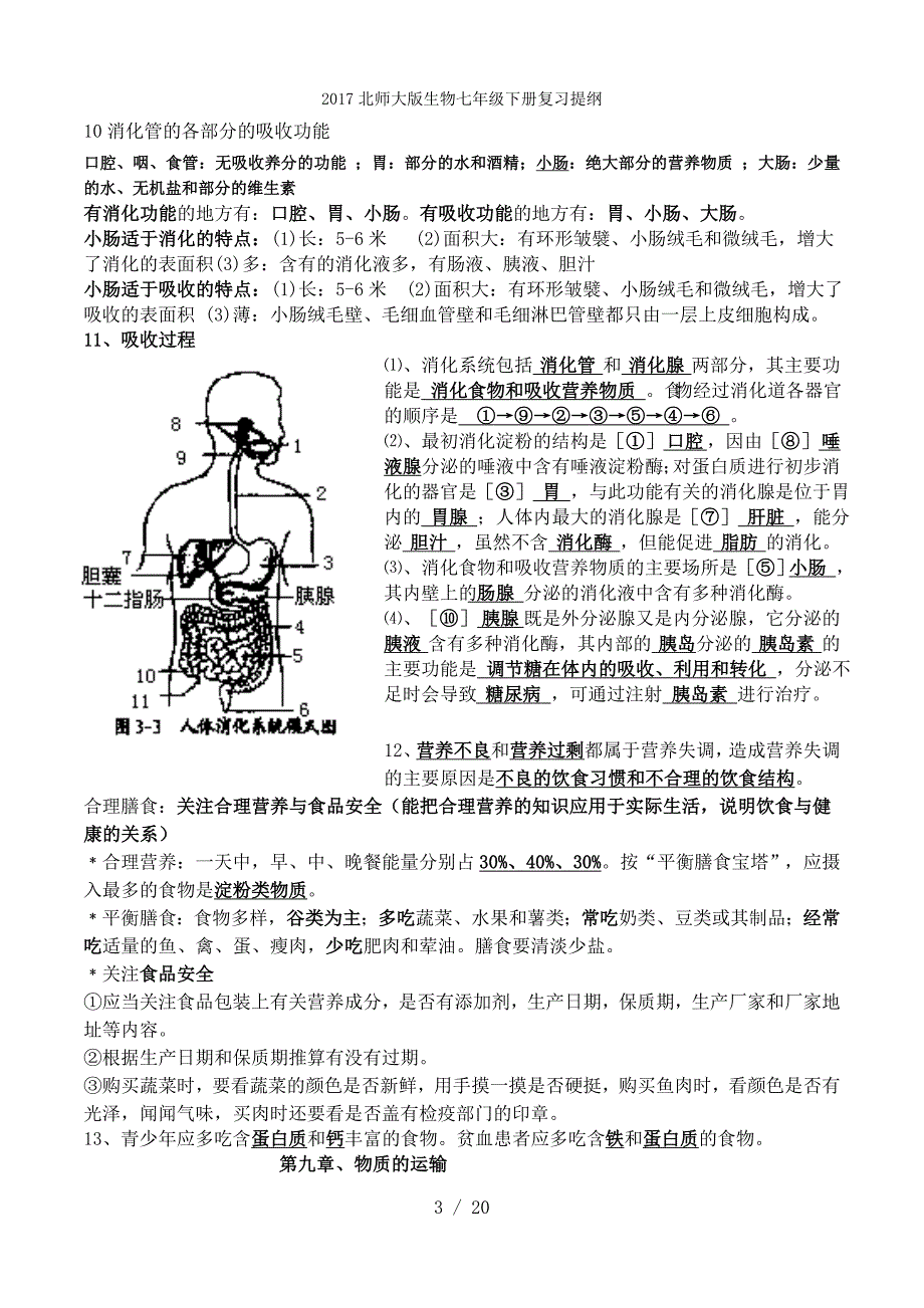 北师大版生物七级下册复习提纲_第3页