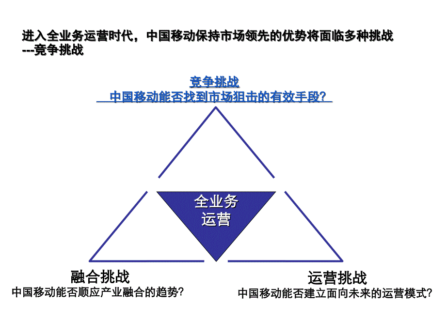 《精编》中国移动全业务运营策略_第4页