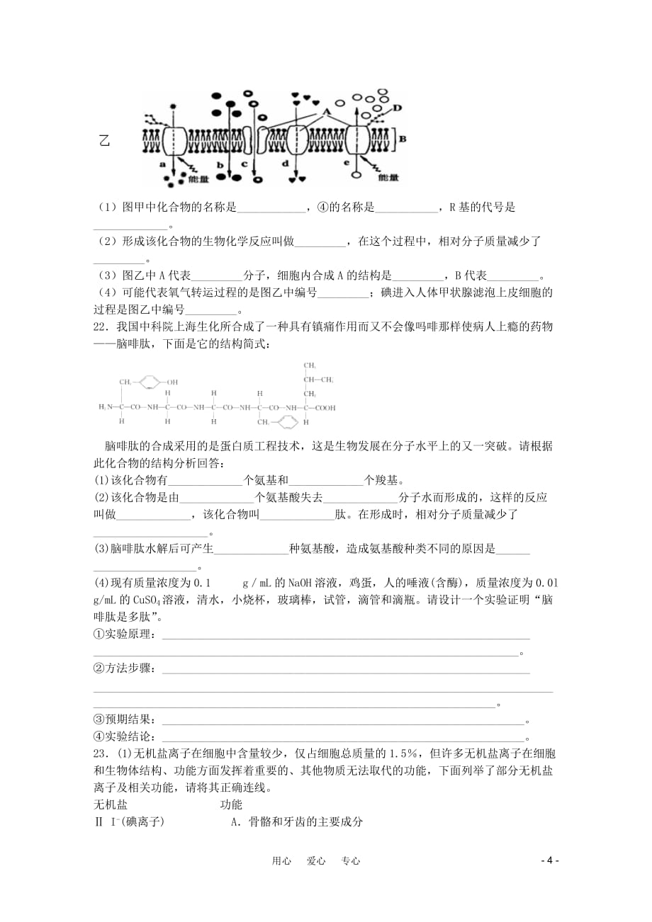 2012届高考生物一轮复习 组成细胞的分子章末测试4 新人教版.doc_第4页