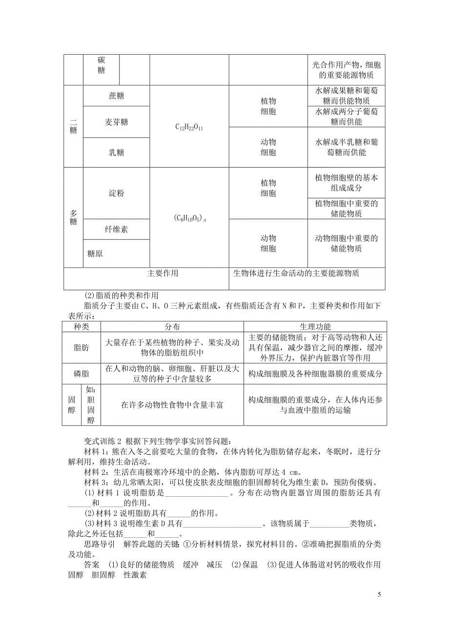 2013届高考生物一轮复习学案 4遗传信息的携带者.doc_第5页