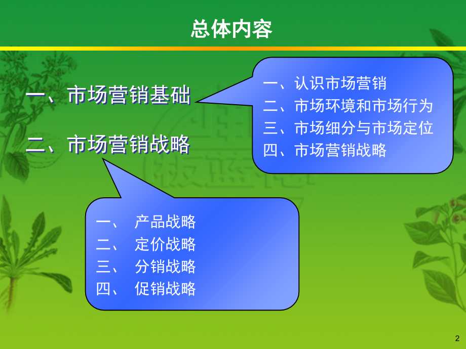 《精编》市场营销战略知识讲义_第2页