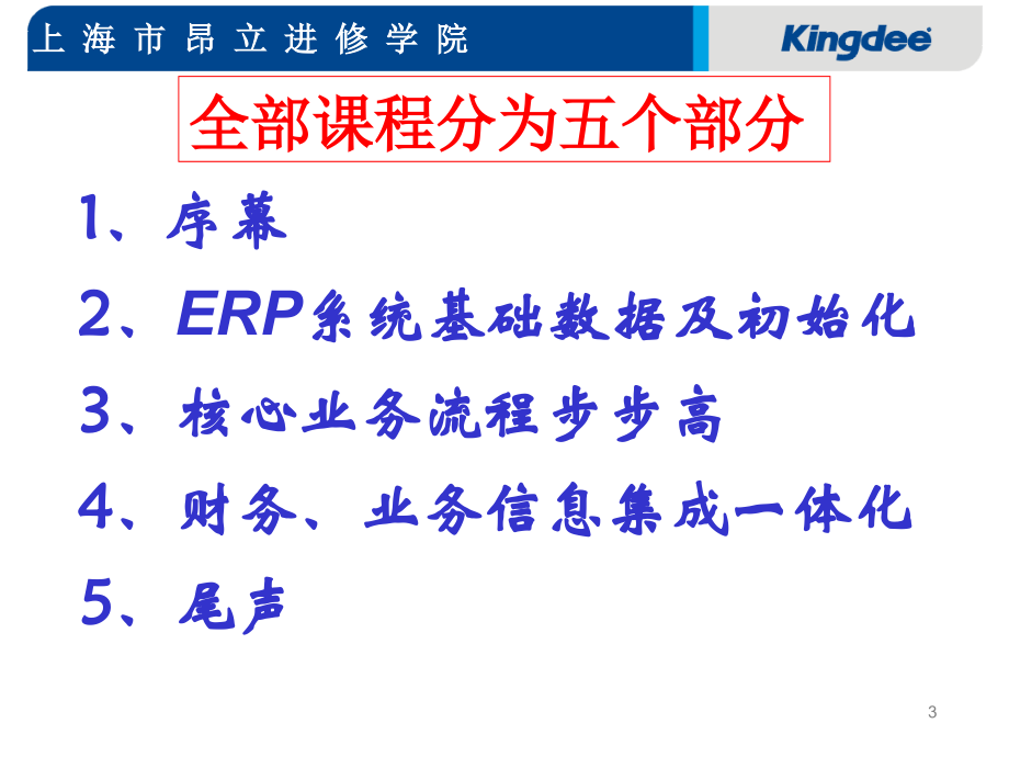 《精编》现代企业ERP总体规划_第3页