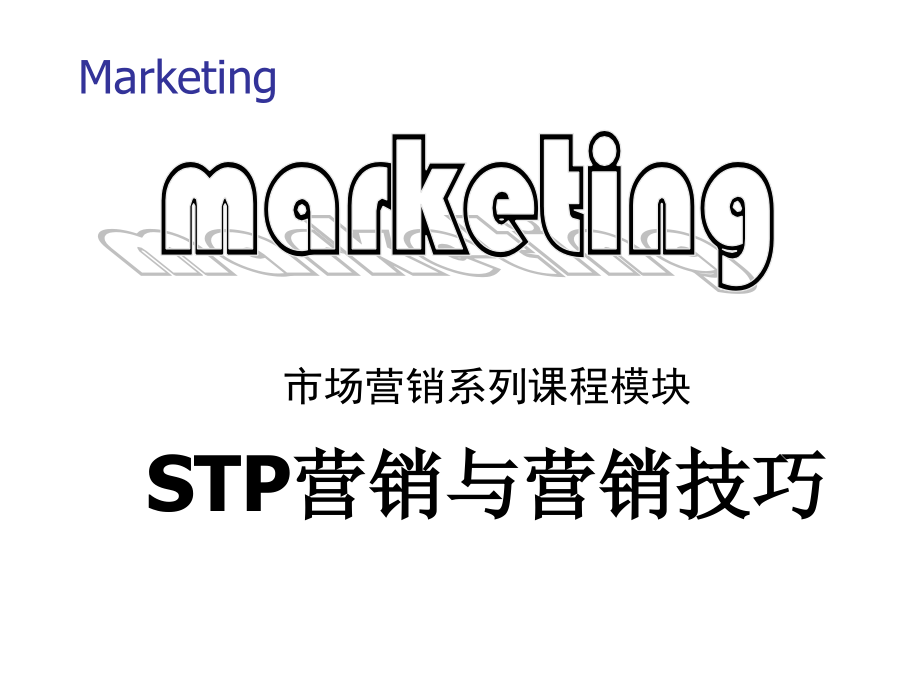 《精编》STP营销与市场营销组合策略讲义_第1页