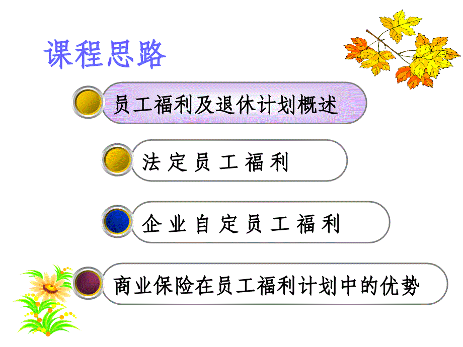 《精编》员工福利及退休计划概述_第3页