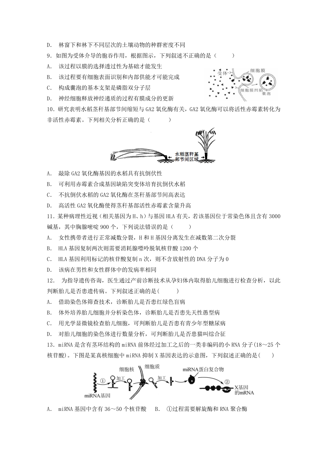 山东省济南外国语学校2020届高三生物寒假测试试题三[含答案].doc_第3页