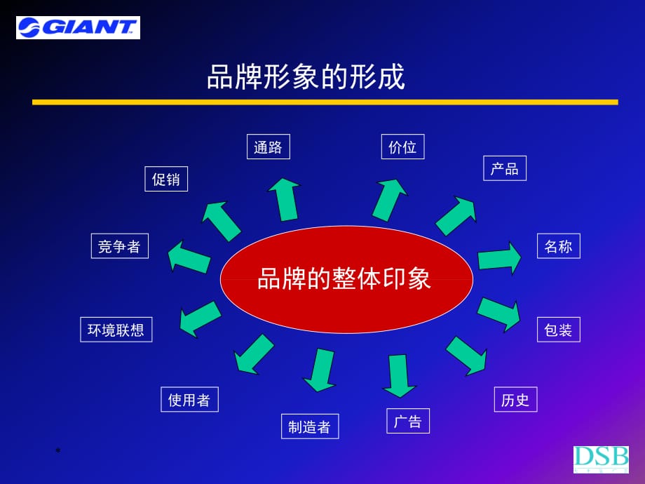 《精编》捷安特品牌管理传播的优势_第2页