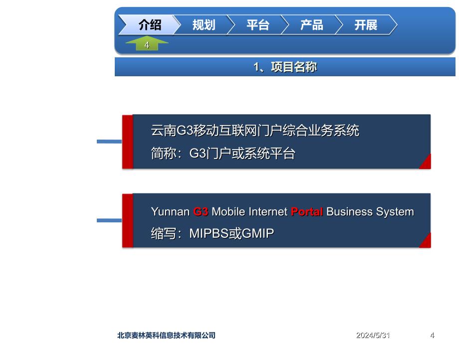 《精编》中国移动G3门户产品规划_第4页