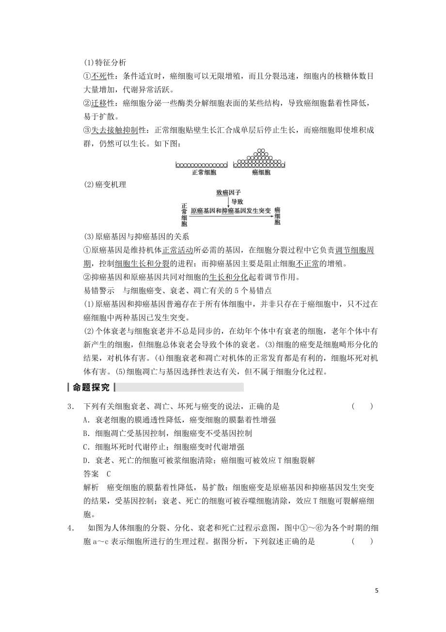 2014届高三生物一轮复习 4.13细胞的分化、衰老、凋亡及癌变教学案 新人教版.doc_第5页