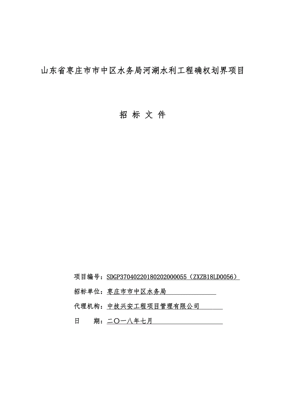 河湖水利工程确权划界项目招标文件_第1页