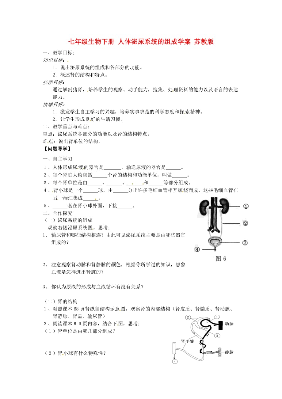 七年级生物下册 人体泌尿系统的组成学案（无答案） 苏教版_第1页