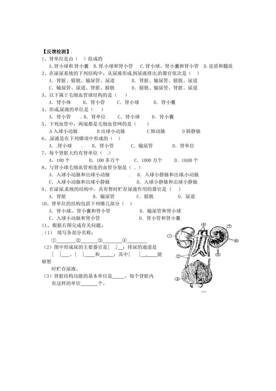 七年级生物下册 人体泌尿系统的组成学案（无答案） 苏教版_第2页