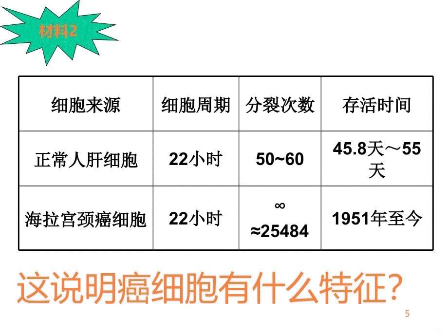 上细胞的癌变PPT课件_第5页