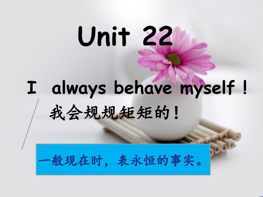 青少版新概念2B Unit 22.ppt_第1页