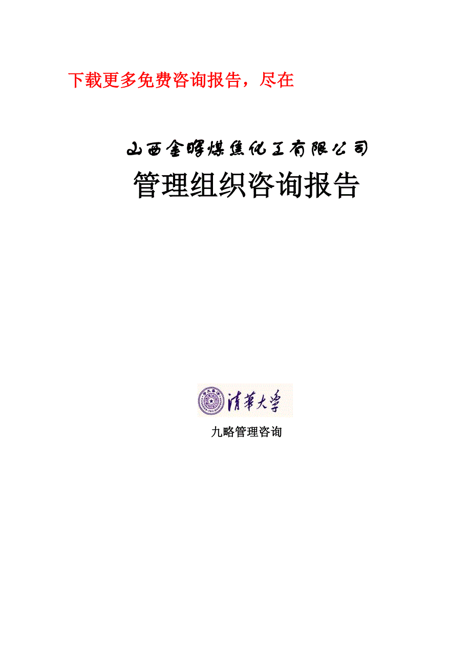 202X年某煤焦化工公司管理组织咨询报告_第1页