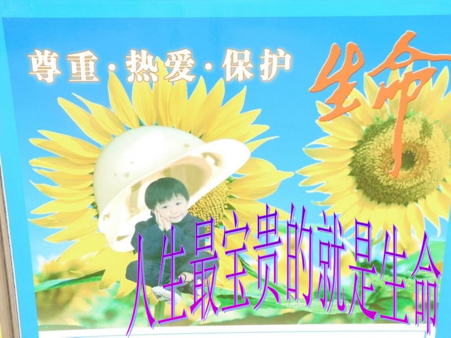 小学生开学安全教育第一课_第2页