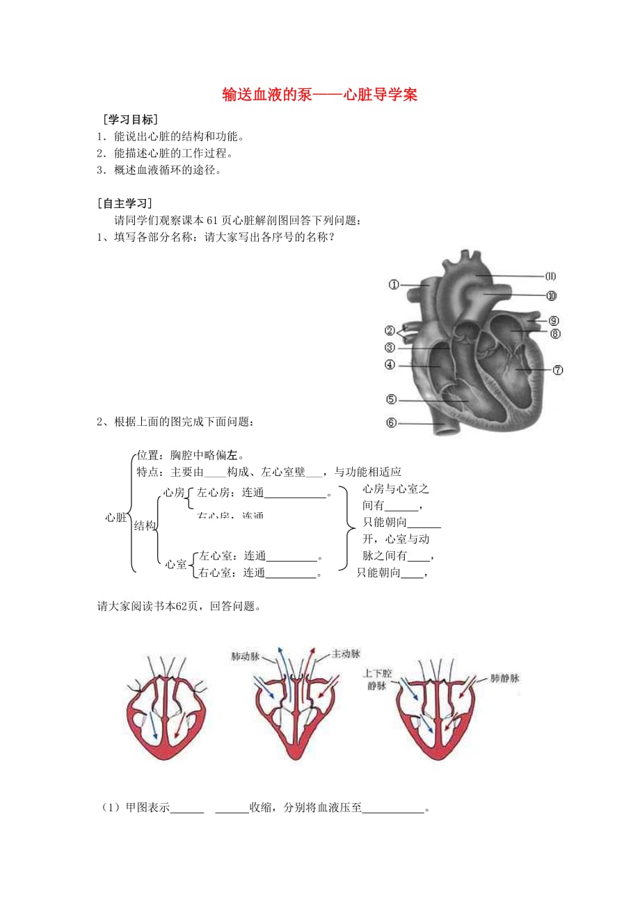 七年级生物下册 4.4.3 输送血液的泵心脏导学案（无答案） 新人教版_第1页