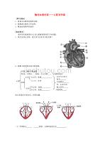 七年级生物下册 4.4.3 输送血液的泵心脏导学案（无答案） 新人教版