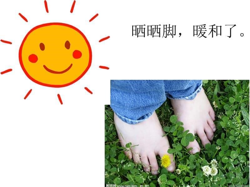 小班儿歌：晒太阳 课件.ppt_第5页